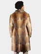 Man's Natural Muskrat Coat with Racoon Collar