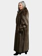 Woman's Natural Chestnut Long Hair Beaver Fur Coat