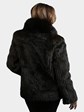 Woman's Deep Mahogany Cord Cut Mink Fur Jacket with Black Fox Collar and Front